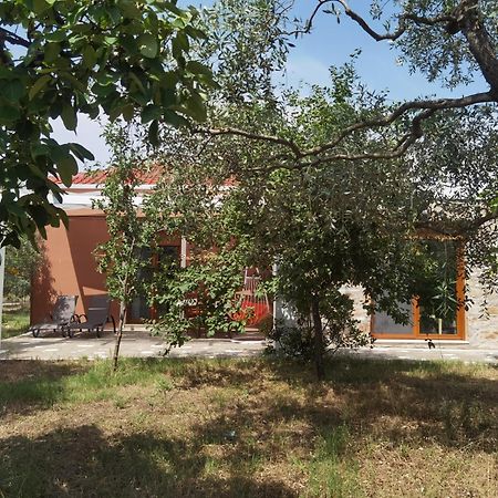 Elea Stone Houses In Organic Quiet Olive Grove, Prinos, Thassos Zimmer foto