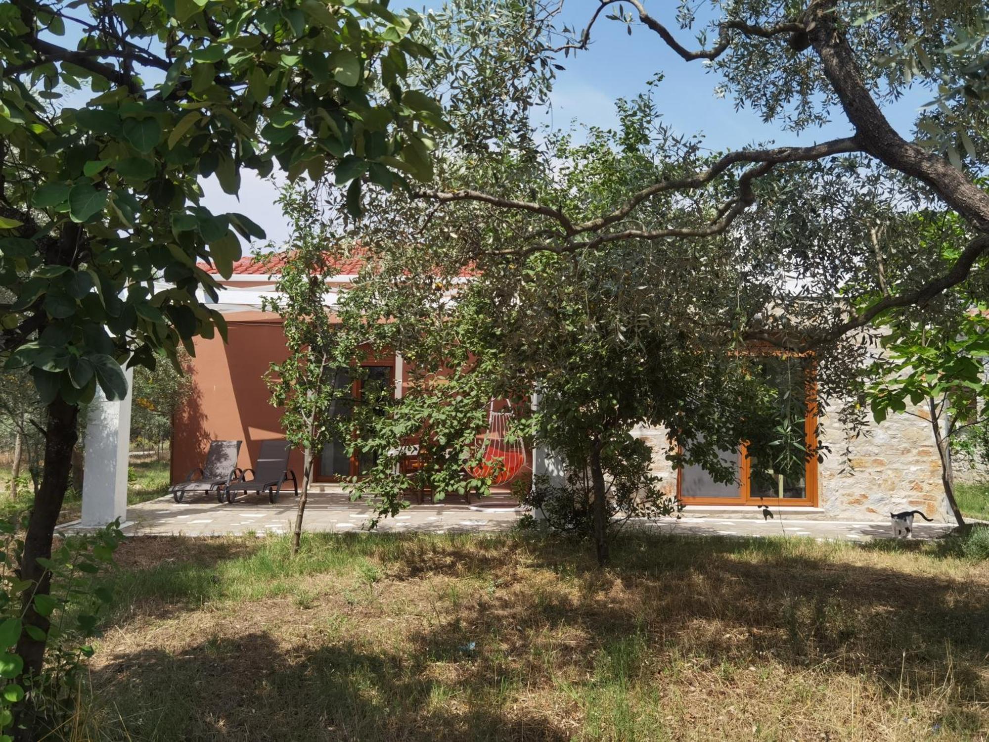 Elea Stone Houses In Organic Quiet Olive Grove, Prinos, Thassos Zimmer foto